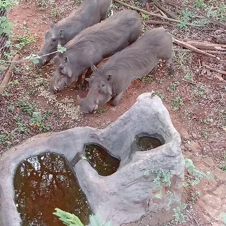 Hedgehog Cabin Marloth Park Exterior photo