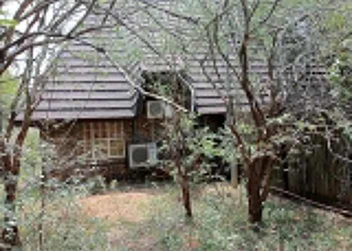 Hedgehog Cabin