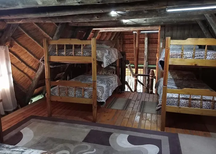 Hedgehog Cabin