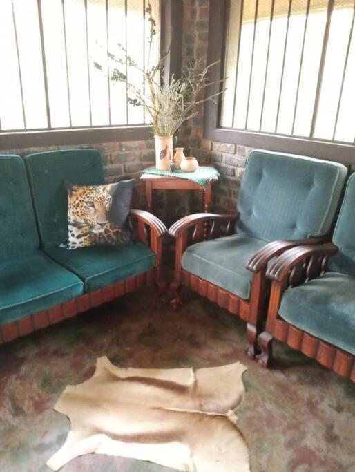 Hedgehog Apartamento
