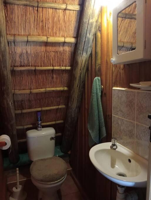 Apartamento Hedgehog