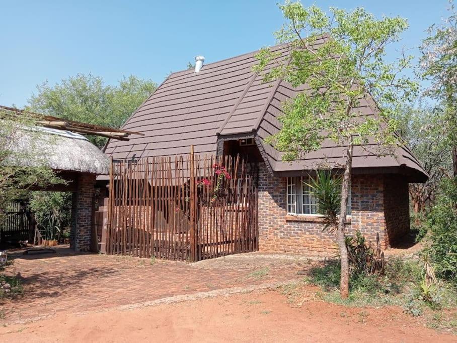 Hedgehog * Marloth Park